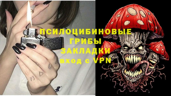 хмурый Алексин