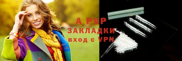 хмурый Алексин