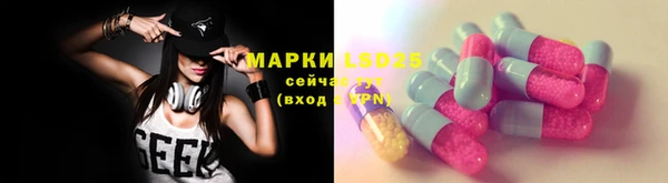 хмурый Алексин