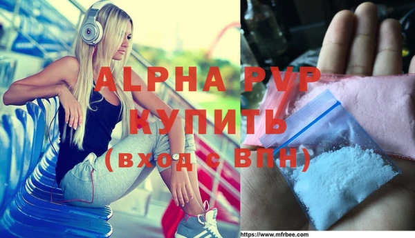 хмурый Алексин