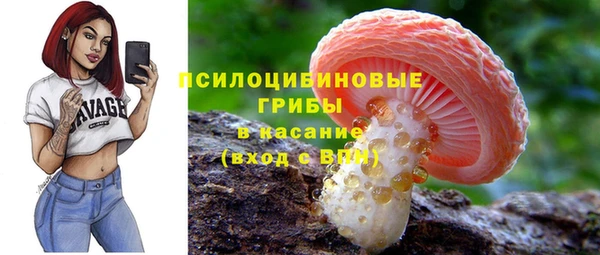 а пвп мука Алзамай
