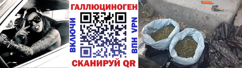 shop Telegram  Катав-Ивановск  Галлюциногенные грибы прущие грибы 